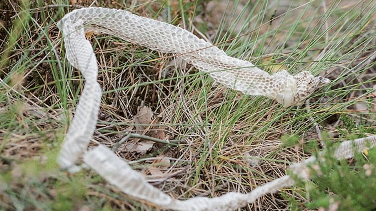 Foto - Faydaları saymakla bitmiyor! Vatandaşlardan yoğun talep geliyor!