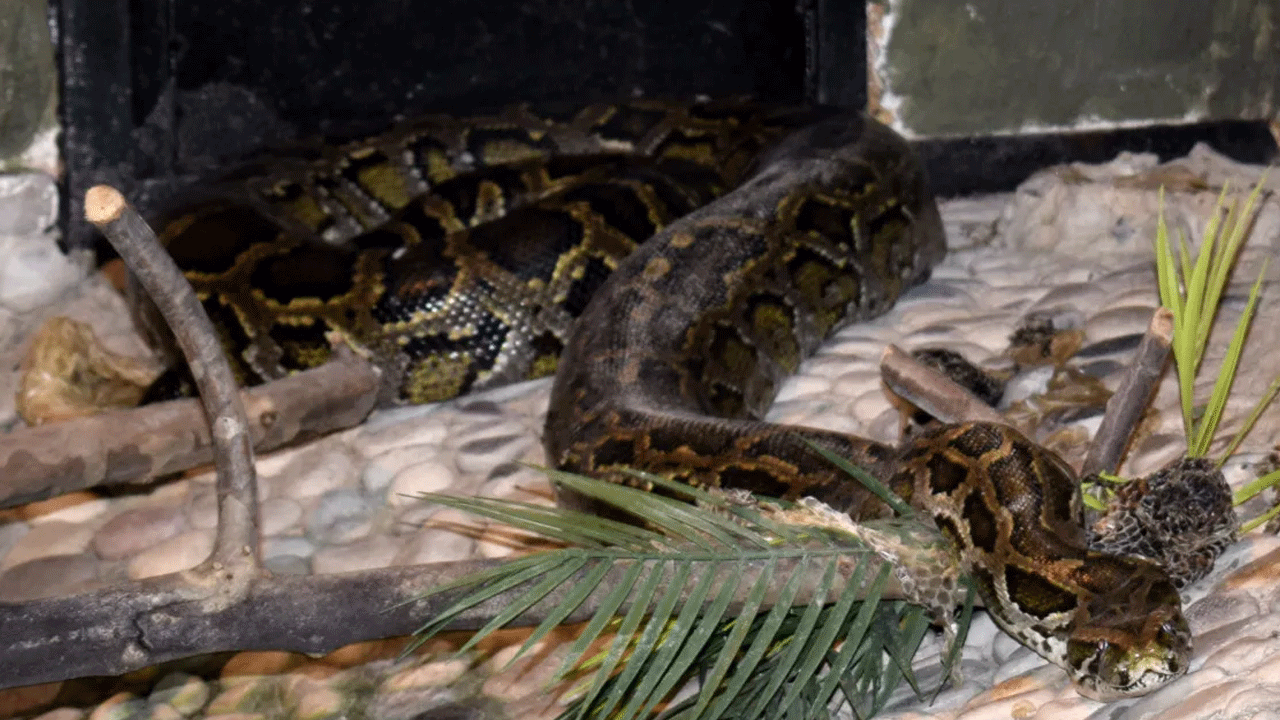 Foto - Faydaları saymakla bitmiyor! Vatandaşlardan yoğun talep geliyor!