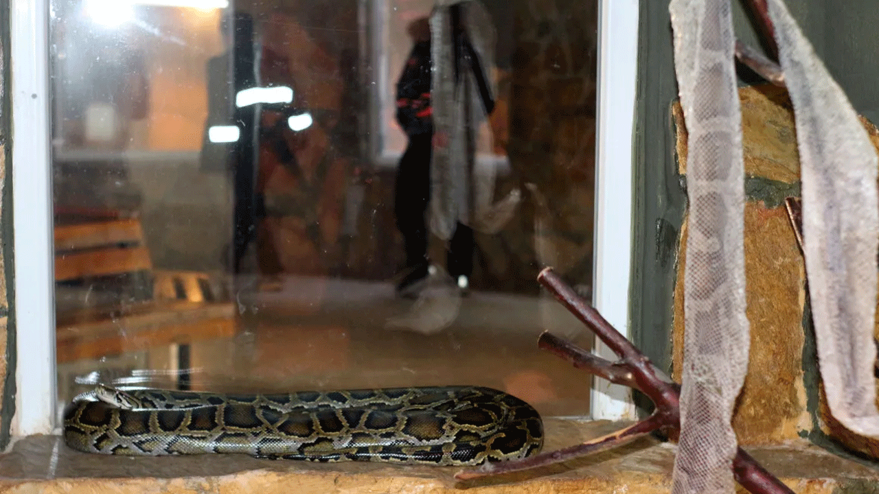 Faydaları saymakla bitmiyor! Vatandaşlardan yoğun talep geliyor!