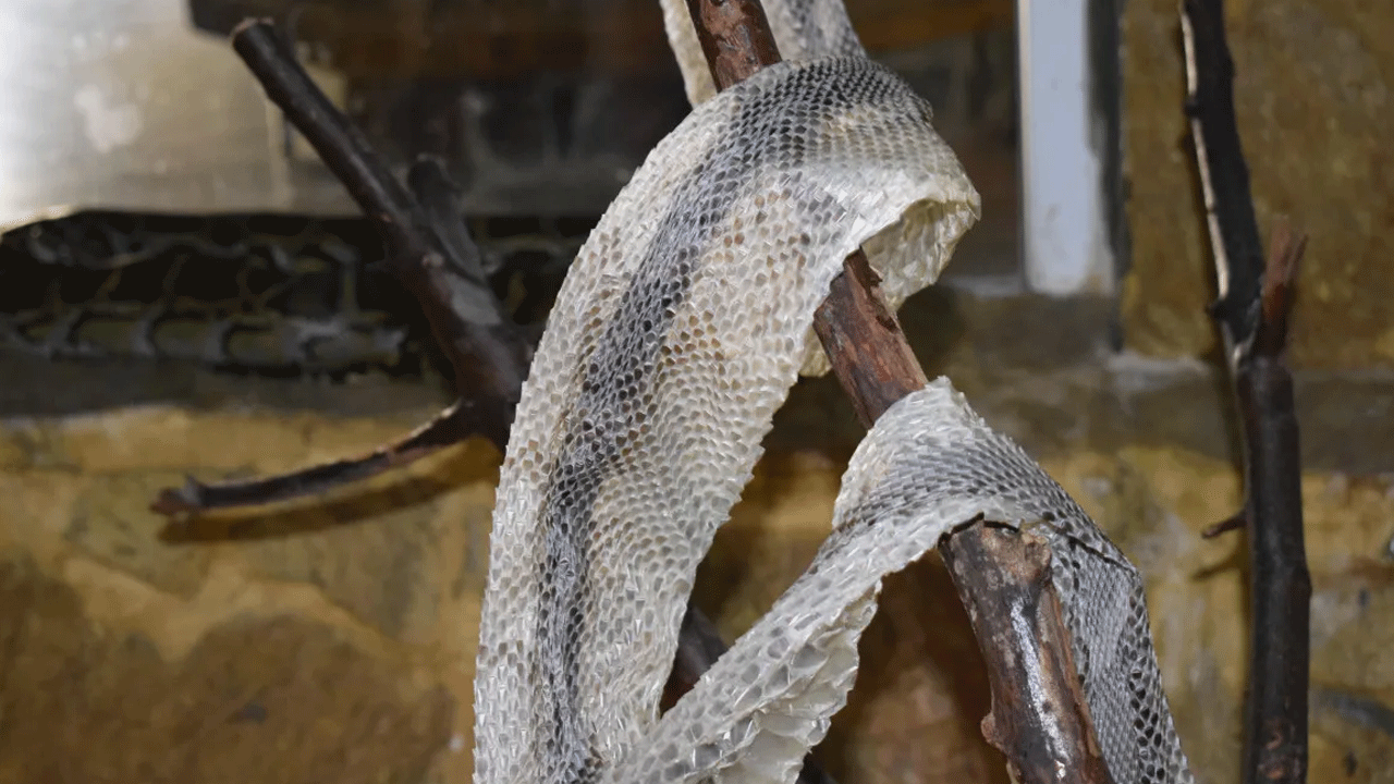 Foto - Faydaları saymakla bitmiyor! Vatandaşlardan yoğun talep geliyor!