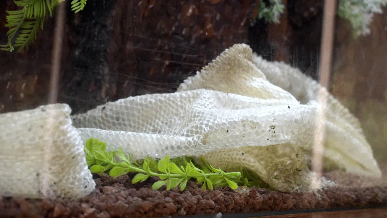 Foto - Faydaları saymakla bitmiyor! Vatandaşlardan yoğun talep geliyor!