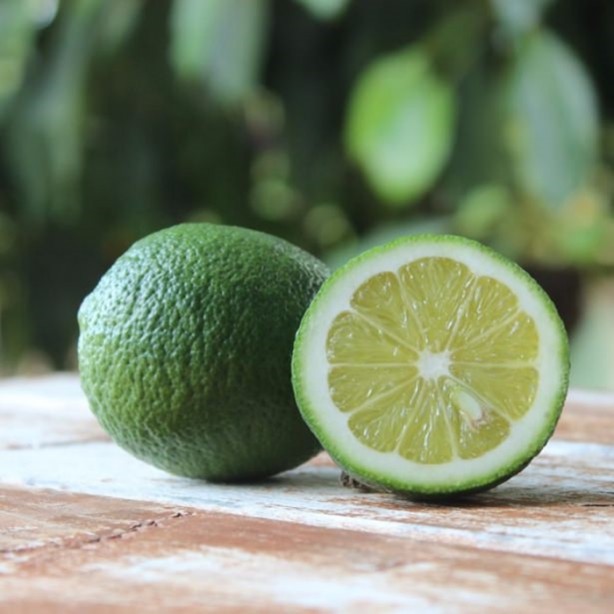 Foto - Faydalarını bilseniz çöpe atmaktan vazgeçersiniz!