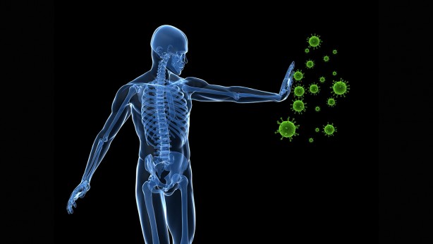 Foto - Faydalarını duyunca çok şaşıracaksınız! Günde 1 şeftali yerseniz...