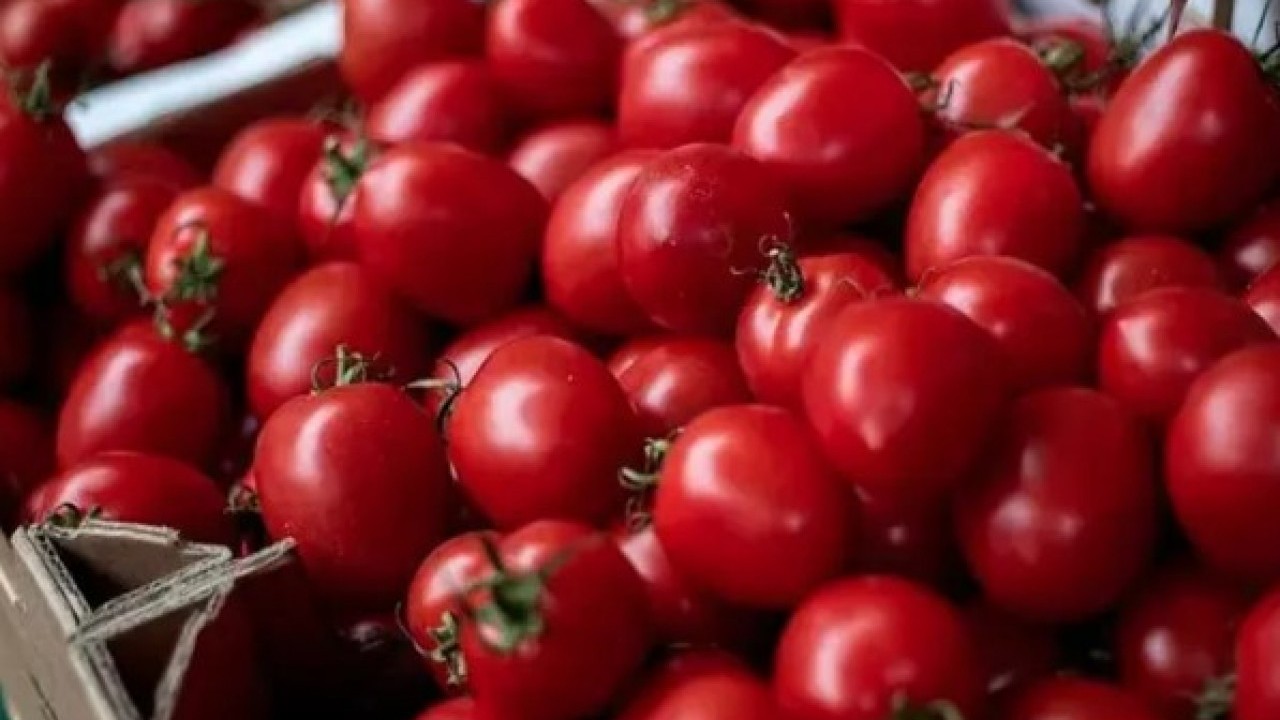 Foto - Faydalarını duyunca şok olacaksınız: Çürük domatesi sakın çöpe atmayın!