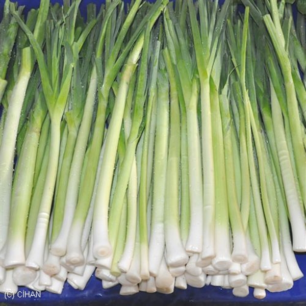 Foto - Faydalarını duyunca vazgeçemeyeceksiniz