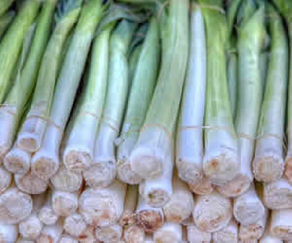 Foto - Faydalarını duyunca vazgeçemeyeceksiniz