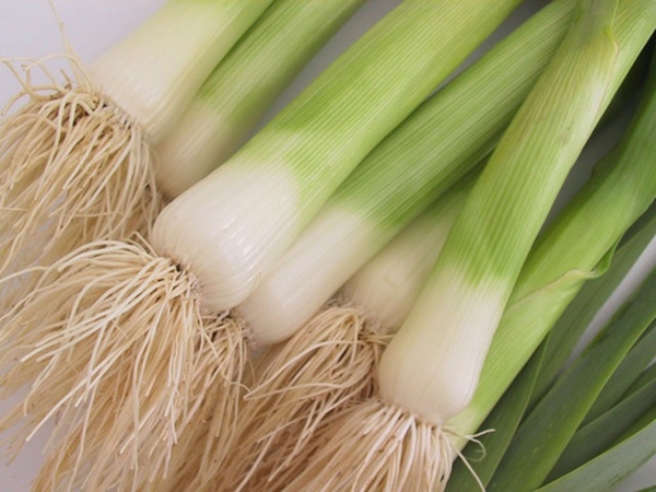 Foto - Faydalarını duyunca vazgeçemeyeceksiniz