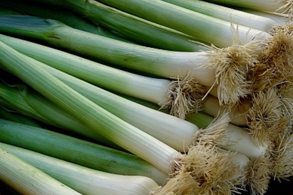 Foto - Faydalarını duyunca vazgeçemeyeceksiniz