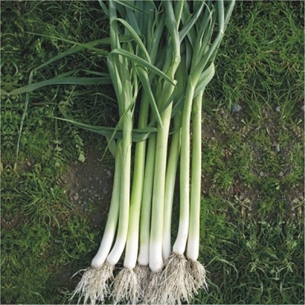 Foto - Faydalarını duyunca vazgeçemeyeceksiniz