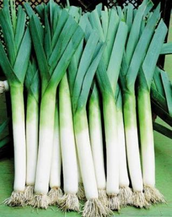 Foto - Faydalarını duyunca vazgeçemeyeceksiniz