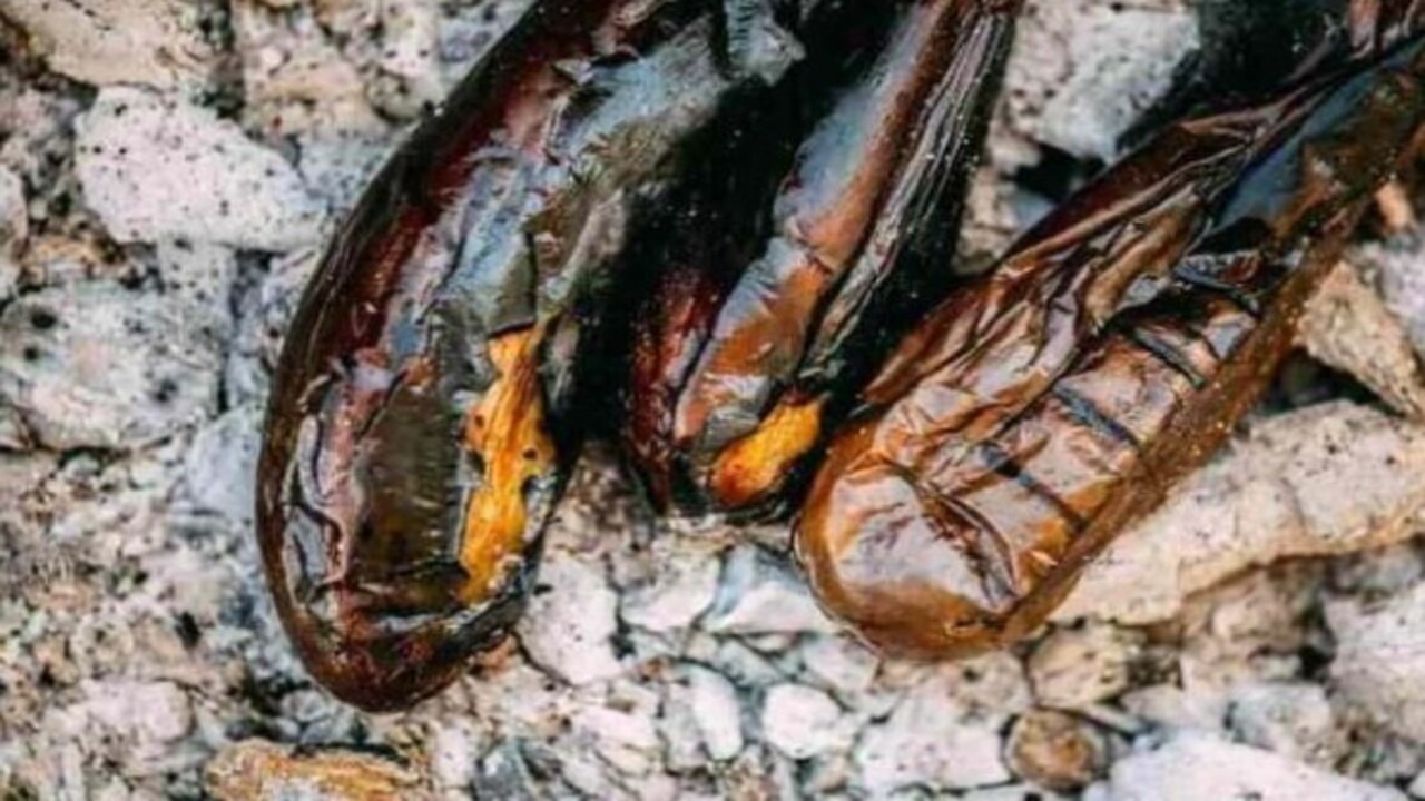 Foto - Faydası dillere destan! İftarda patlıcan yemeği yerseniz bakın ne oluyor