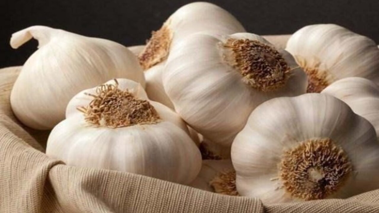 Foto - Faydası dillere destan! Japon doktorlar ısrarla bu çayı öneriyor