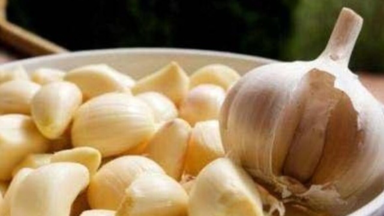 Foto - Faydası dillere destan! Japon doktorlar ısrarla bu çayı öneriyor