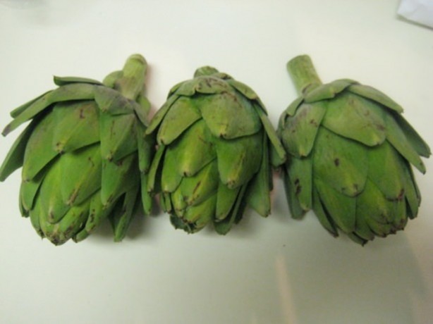 Foto - Faydaları say say bitmiyor!