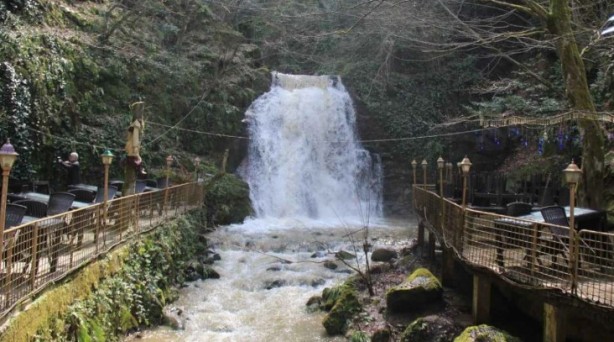 Foto - Faydası saymakla bitmiyor! İşte İstanbul'un yanıbaşındaki doğa harikası