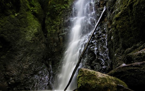 Faydası saymakla bitmiyor! İşte İstanbul'un yanıbaşındaki doğa harikası