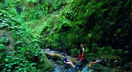 Foto - Faydası saymakla bitmiyor! İşte İstanbul'un yanıbaşındaki doğa harikası