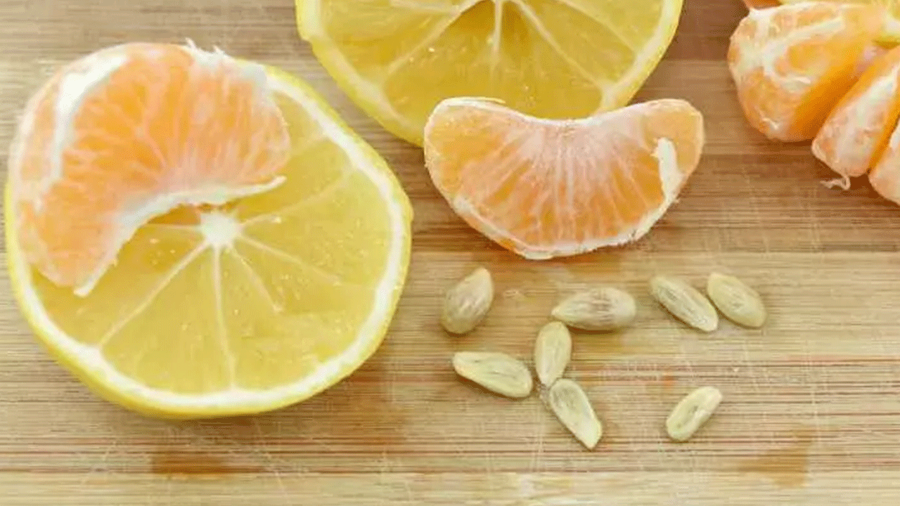 Foto - Kullanım alanlarının sonu yok: Limon çekirdeklerini sakın çöpe atmayın!