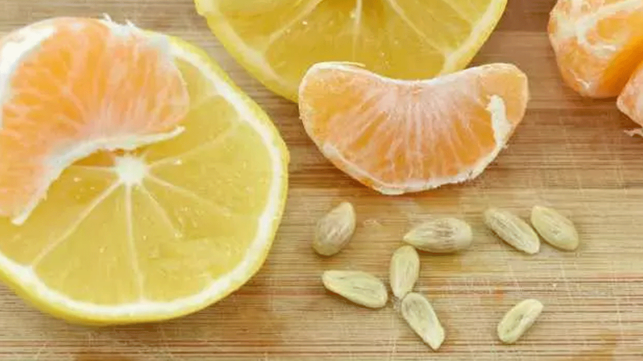 Foto - Kullanım alanlarının sonu yok: Limon çekirdeklerini sakın çöpe atmayın!