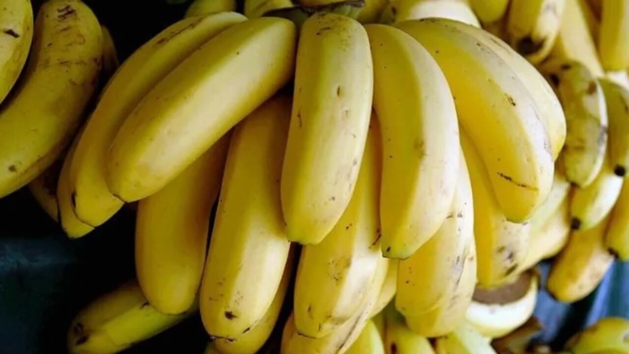 Foto - Faydasına çok şaşıracaksınız! Muz kabuğunu ayağınıza sürünce bakın ne oluyor