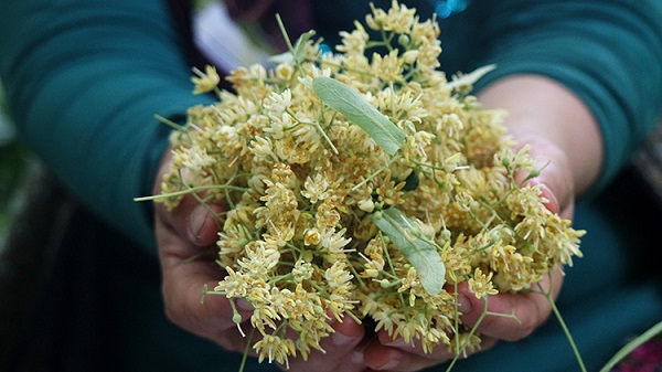 Foto - Faydasını azaltıyormuş! Meğer yıllarca yanlış yapmışız