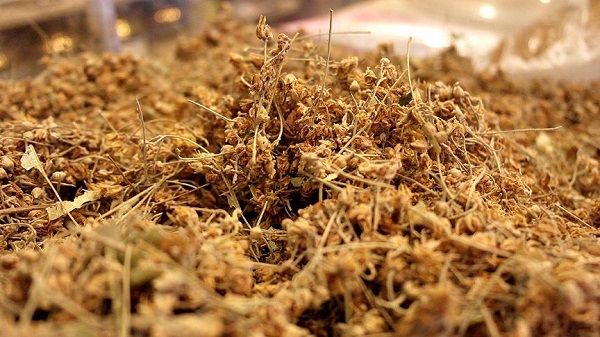 Foto - Faydasını azaltıyormuş! Meğer yıllarca yanlış yapmışız