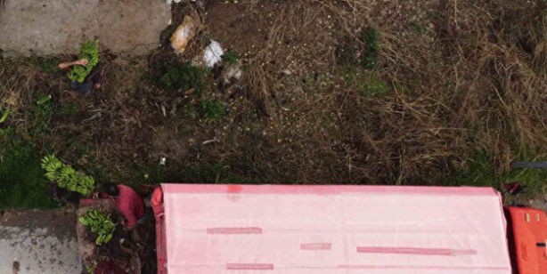 Faydasını duyan satın almak istiyor: Her iki tanesinden biri bu şehirden çıkıyor