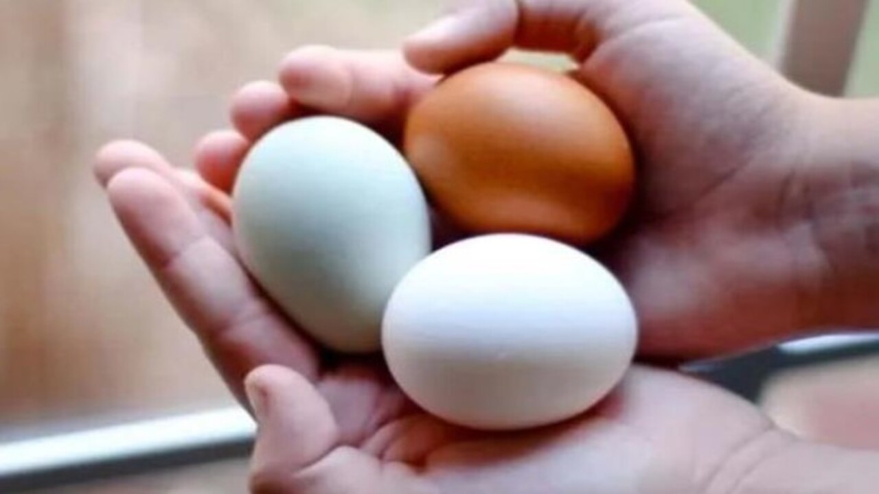 Foto - Faydasını göreceksiniz! Yumurta, süt ve peynir alırken bunlara dikkat