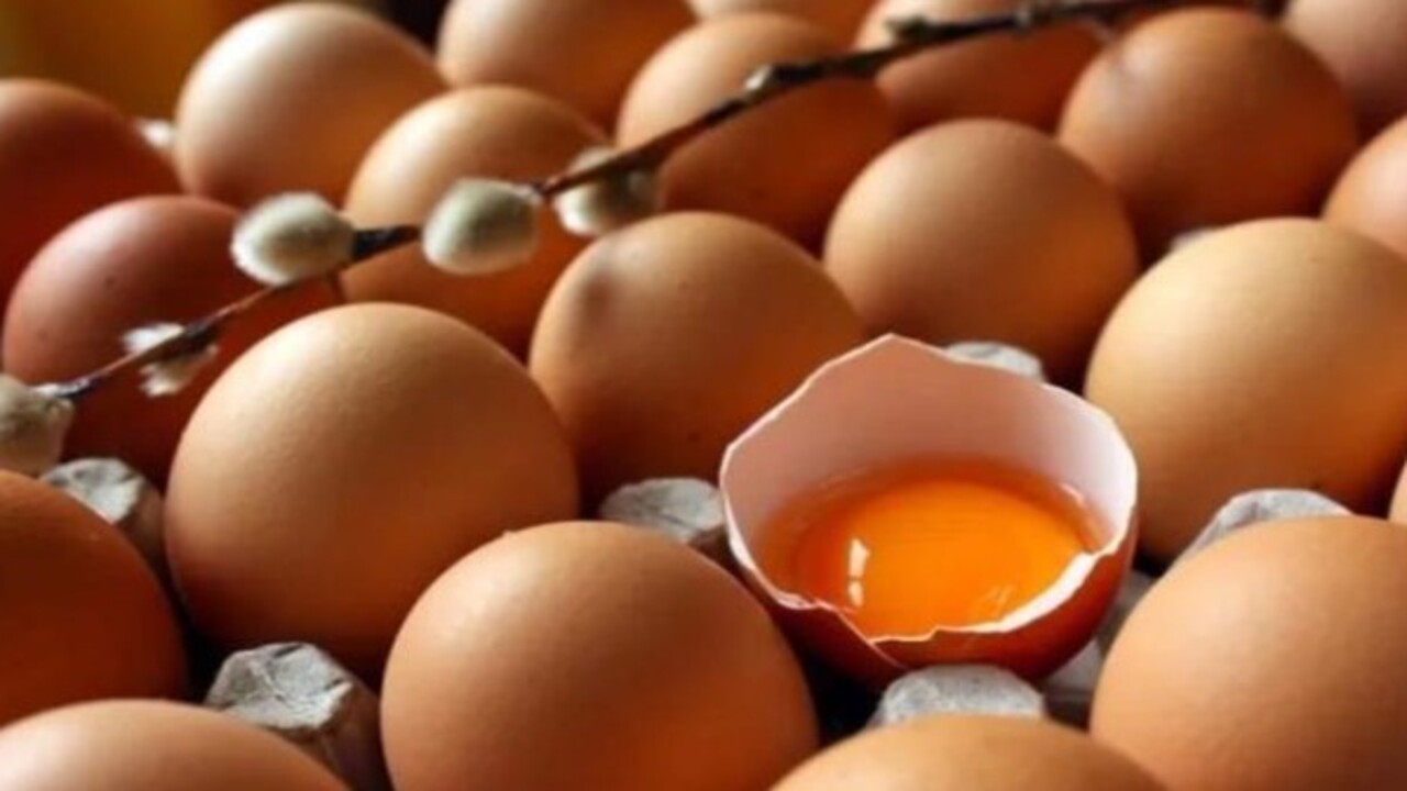 Foto - Faydasını göreceksiniz! Yumurta, süt ve peynir alırken bunlara dikkat