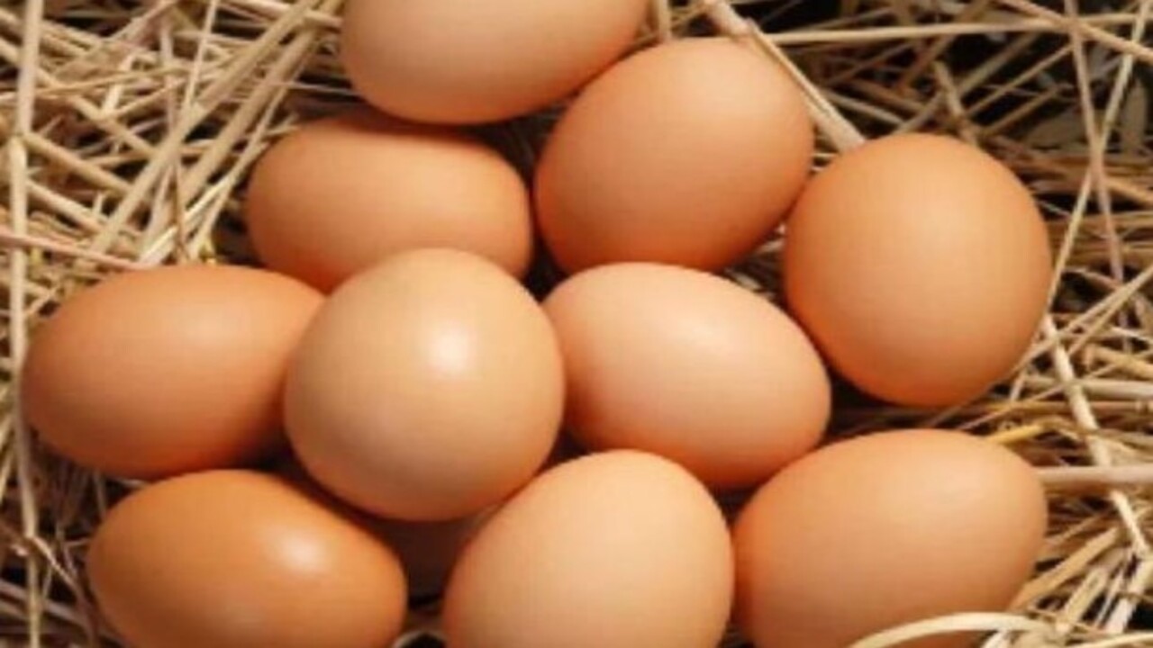 Foto - Faydasını göreceksiniz! Yumurta, süt ve peynir alırken bunlara dikkat