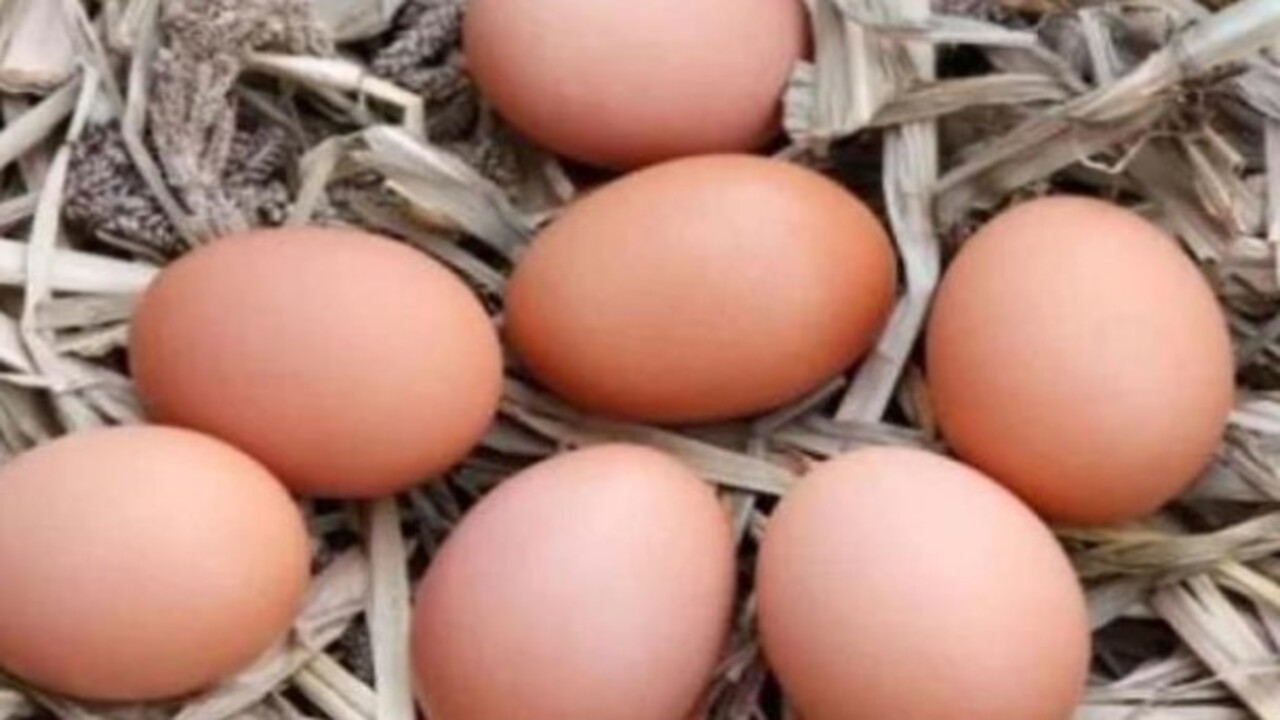 Foto - Faydasını göreceksiniz! Yumurta, süt ve peynir alırken bunlara dikkat