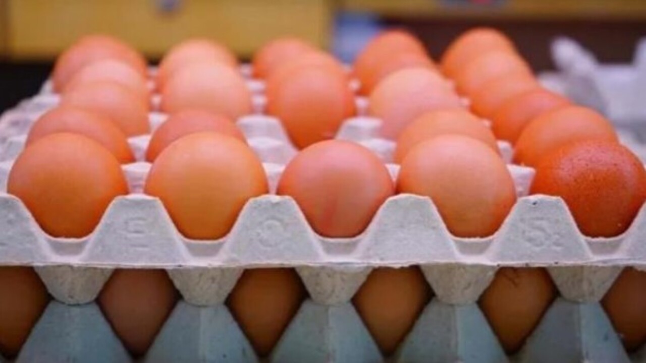 Foto - Faydasını göreceksiniz! Yumurta, süt ve peynir alırken bunlara dikkat