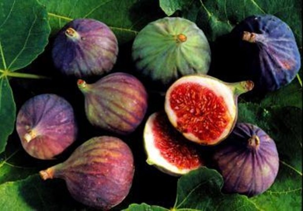 Foto - Fazla incir öldürüyor