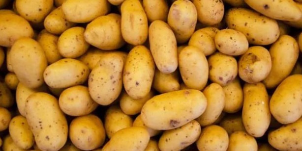 Foto - Fazla tüketildiğinde ölüme kadar götüren 5 besin