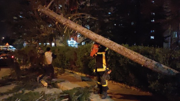 Foto - Feci anlar kamerada! Otomobilini kurtarırken kendisi çatının altında kaldı