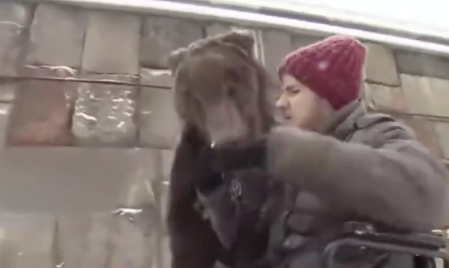 Foto - Felç olan bakıcısına bakıcılık yapan ayı gündem oldu! İşte gözlerinize inanamayacağınız görüntüler