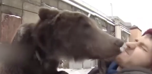 Foto - Felç olan bakıcısına bakıcılık yapan ayı gündem oldu! İşte gözlerinize inanamayacağınız görüntüler