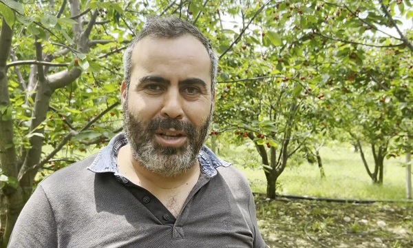 Foto - Fenerbahçeli çiftçinin isyanı: Kiraz bile Galatasaraylı çıktı