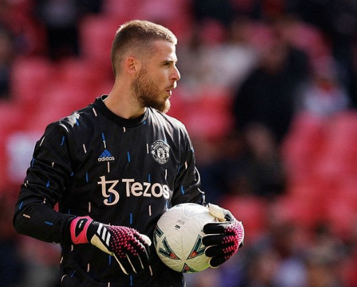 Foto - Fenerbahçe son dikkat çeken haberi verdi: Edin Dzeko ve Fred'in merak konusunu, bombayı patlatıyor!