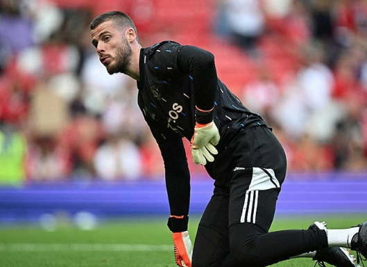 Foto - Fenerbahçe son dikkat çeken haberi verdi: Edin Dzeko ve Fred'in merak konusunu, bombayı patlatıyor!