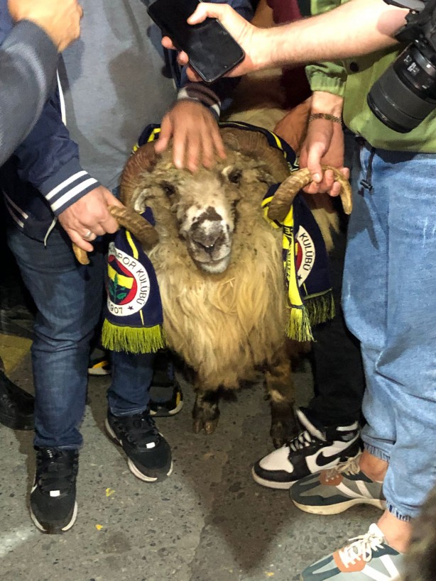 Fenerbahçe'yi eze eze yenen Trabzonspor kafilesine koçla karşılama