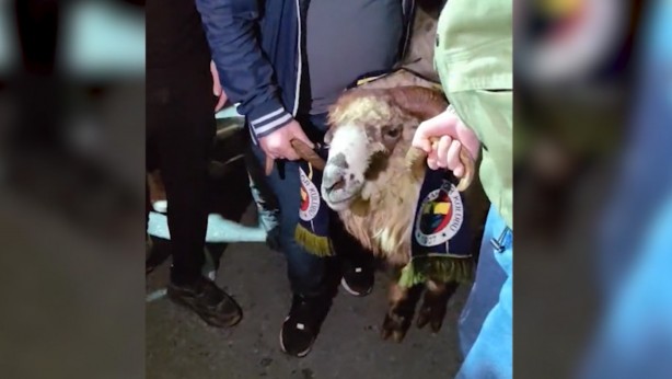 Foto - Fenerbahçe'yi eze eze yenen Trabzonspor kafilesine koçla karşılama