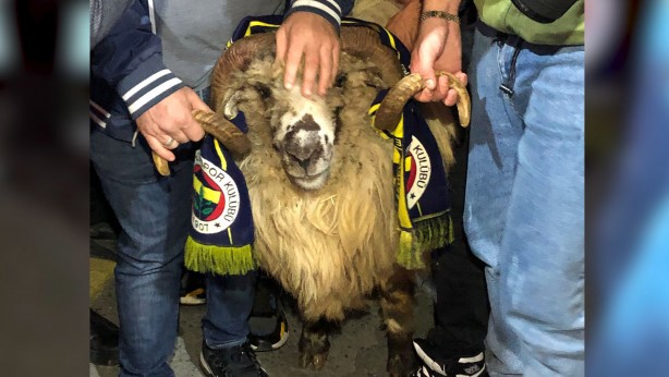 Foto - Fenerbahçe'yi eze eze yenen Trabzonspor kafilesine koçla karşılama