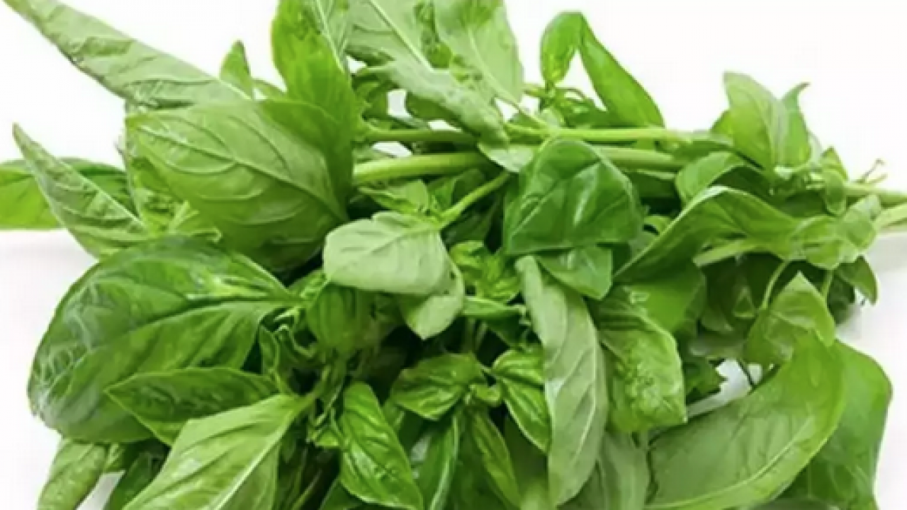 Ferah bir nefes... İştah kapatan bitki: Sabahları 1-2 tane çiğneyin