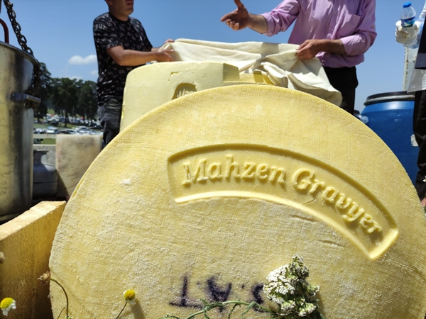 Foto - Festivale 1 tonluk kaşar damgası