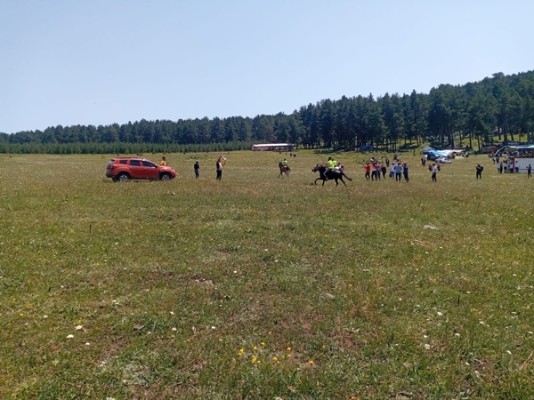 Foto - Festivale 1 tonluk kaşar damgası