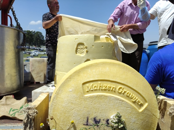 Festivale 1 tonluk kaşar damgası