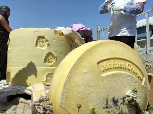 Foto - Festivale 1 tonluk kaşar damgası