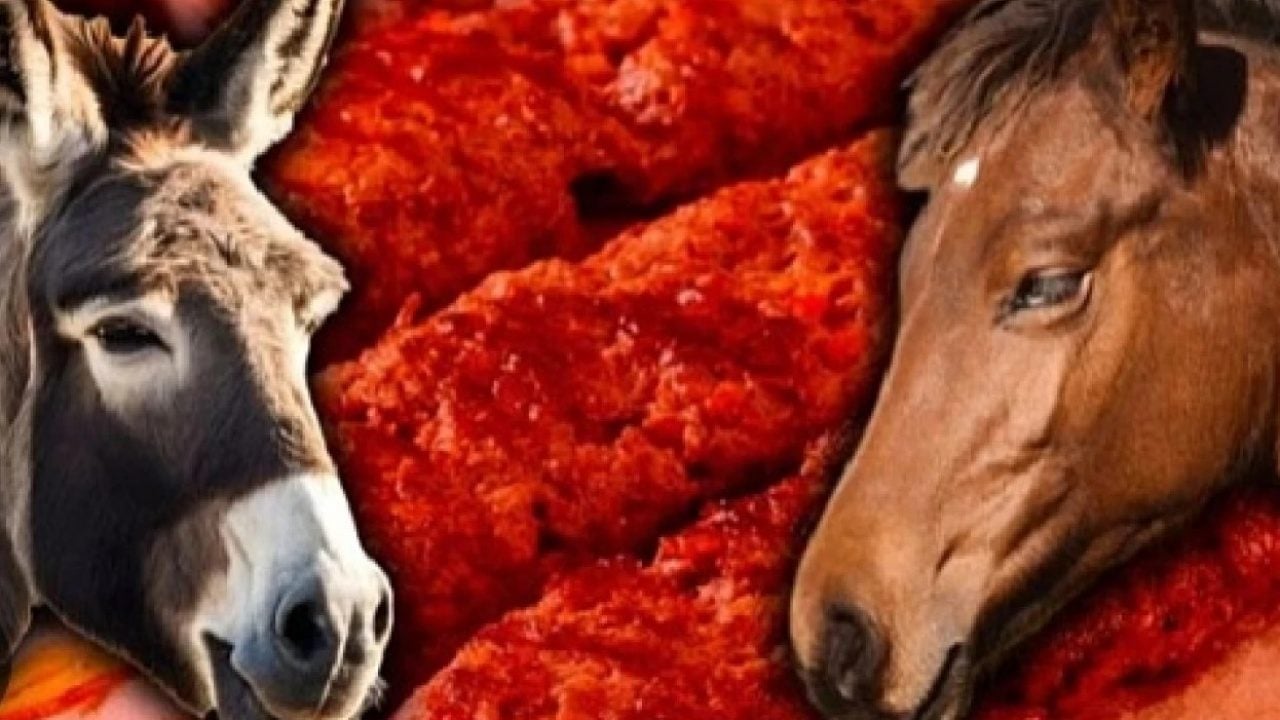 Fetva Hattı vaizinden dikkat çeken açıklama! 'Eşek ve katır eti helal değil!'