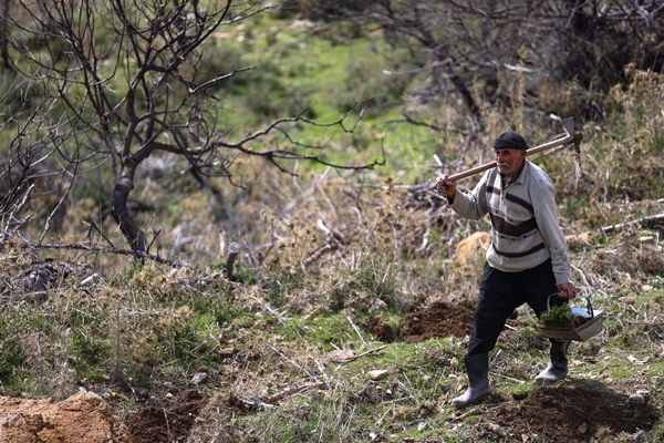 Foto - "Fidan dede" 35 yılda yüzbinlerce fidanı toprakla buluşturdu